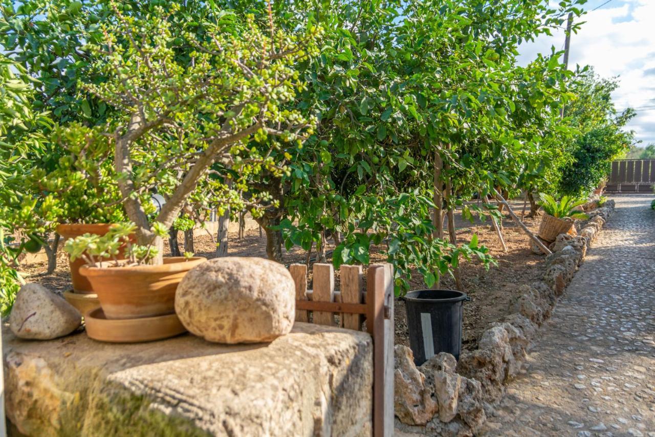 Villa Finca Son Matginet 18 à Sineu  Extérieur photo